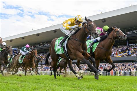 All Star Mile 2024 – Field Preview, Odds, Horses, Speed Map .
